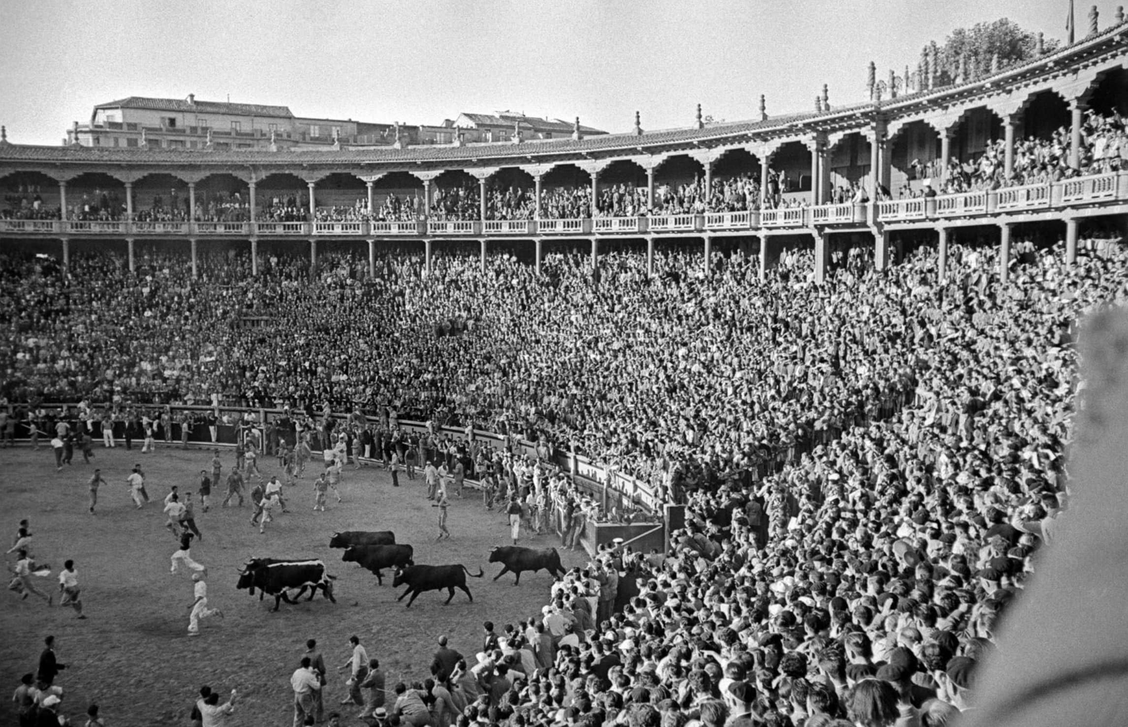 inge morath pamplona